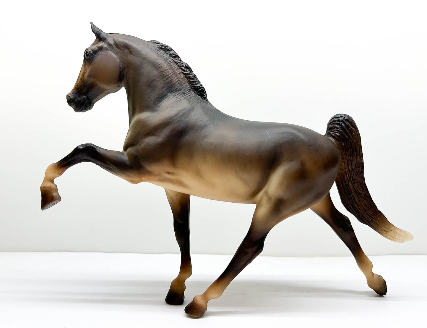 Tennessee Walking Horse, Brown Pangare - JCP SR