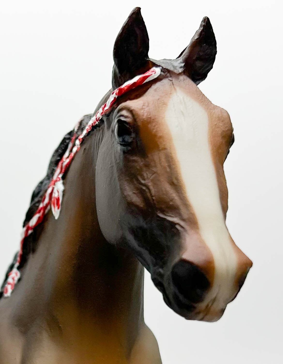 Tennessee Walking Horse, Brown Pangare - JCP SR