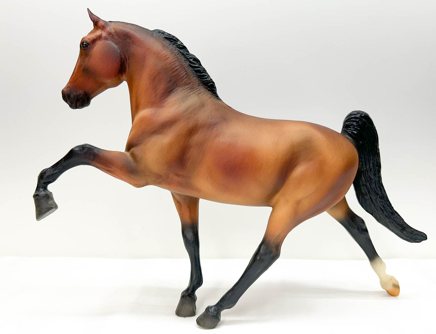 Tennessee Walking Horse, Bay - WCHE SR 1500 Made