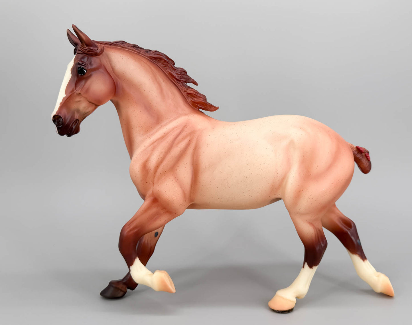 Wixom, Red Roan - Treasure Hunt