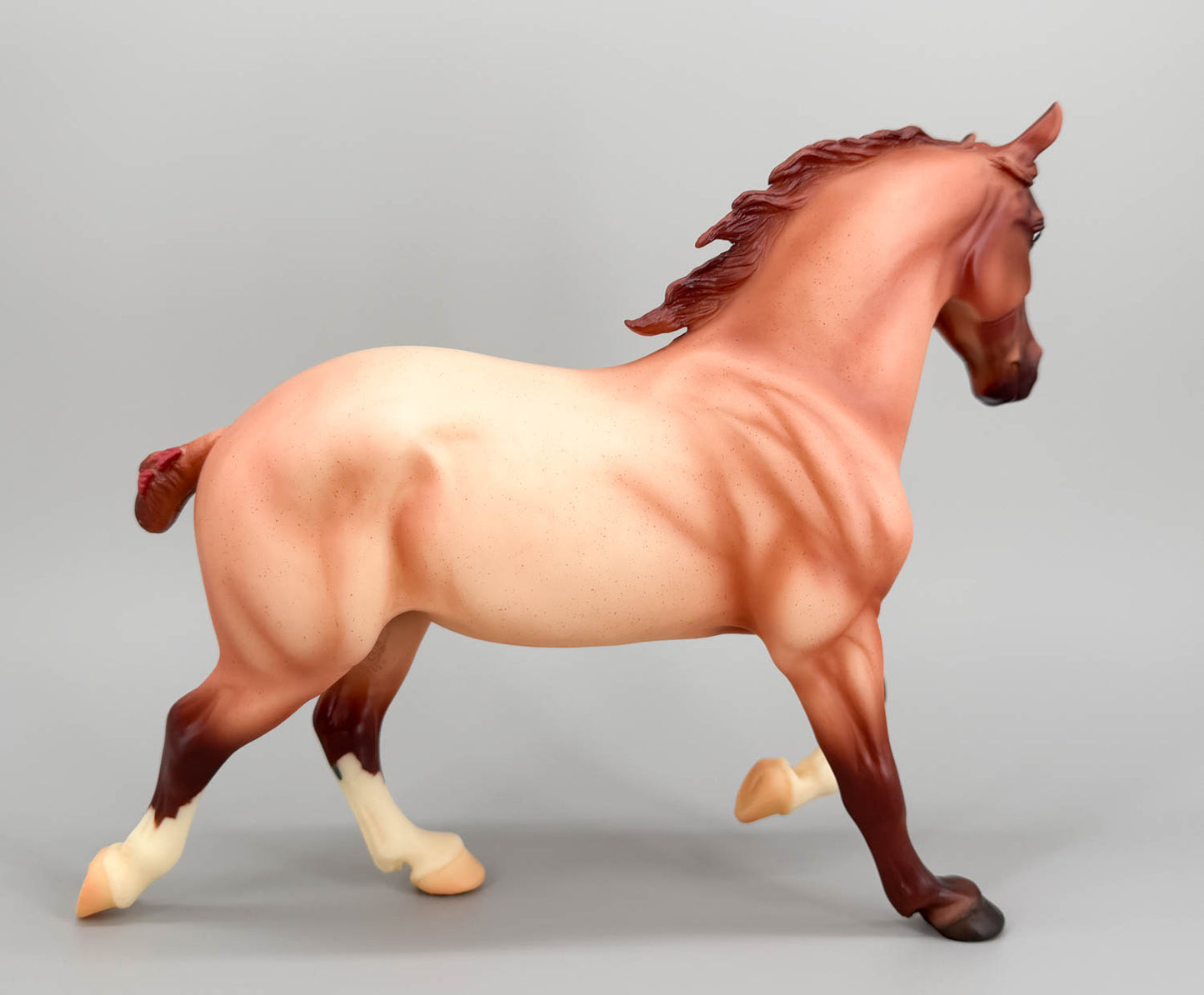 Wixom, Red Roan - Treasure Hunt