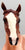 Wixom, Red Roan - Treasure Hunt