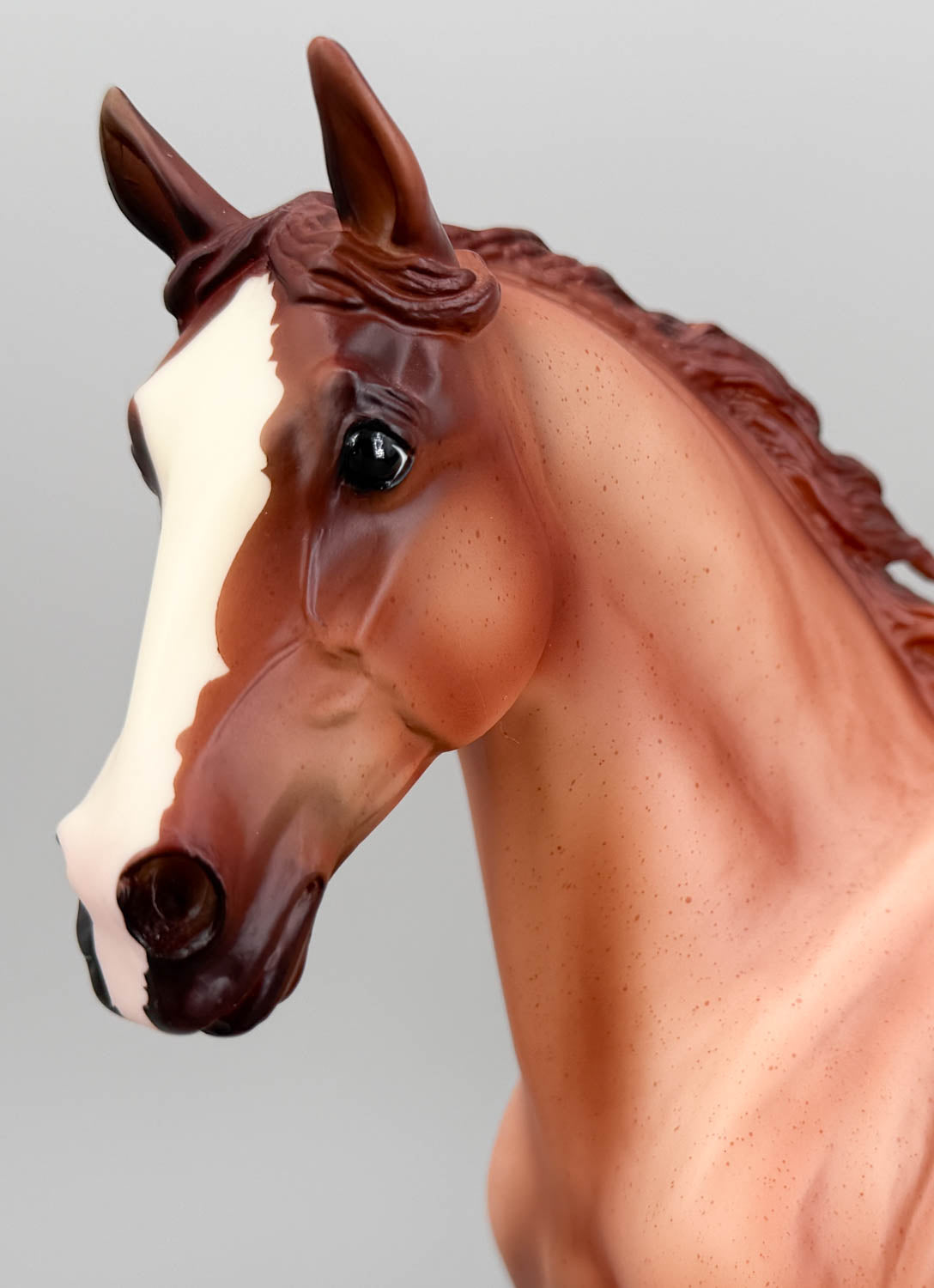 Wixom, Red Roan - Treasure Hunt