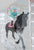 2010 Holiday Famous Racehorses Ornament ~ Zenyatta