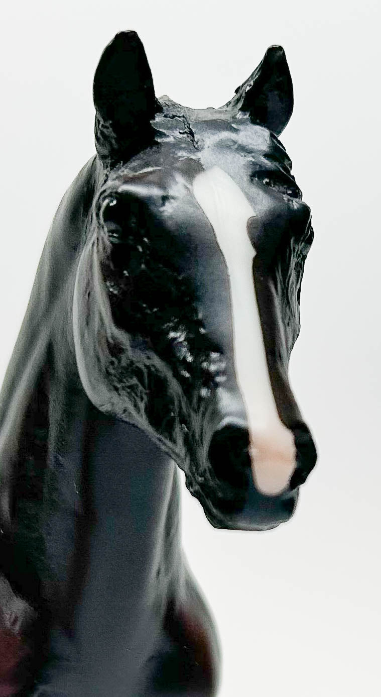 Action Stock Horse Foal, Black - JC Penney SR