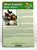 Bio Card: Show Jumping Warmblood ~ Mon Gamin