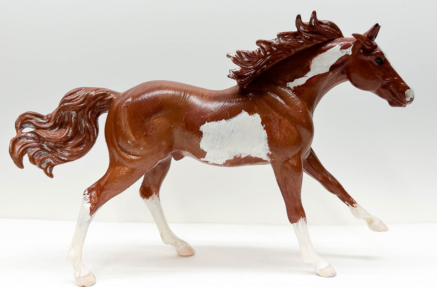 American Quarter Horse Stallion, Chestnut Pinto - Body Previously Customized