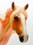 Haflinger, Custom Chestnut Pinto Etchie