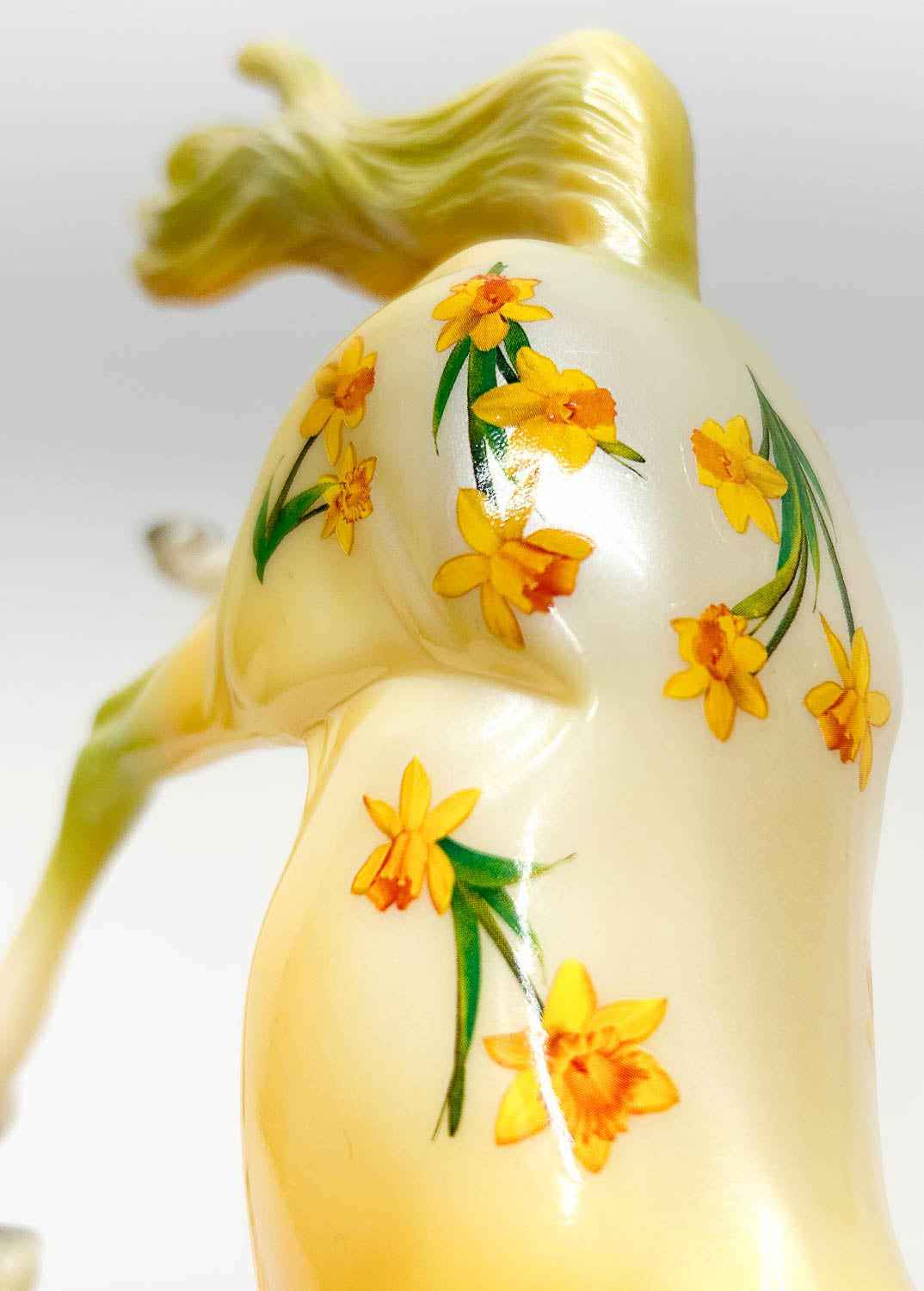 Morgan Mare - Blossoms Collection:  March ~ Daffodil