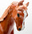 Family Arabian Stallion, Chestnut - Body Previously Customized