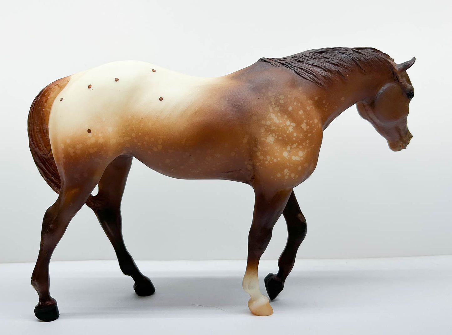 Indian Pony, Chestnut Appaloosa