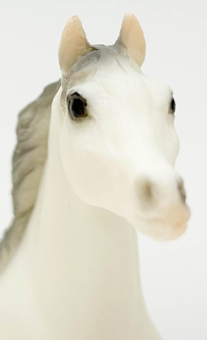 Arabian Stallion, Alabaster