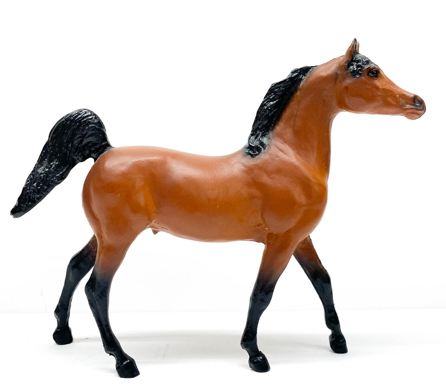 Arabian Stallion, Bay