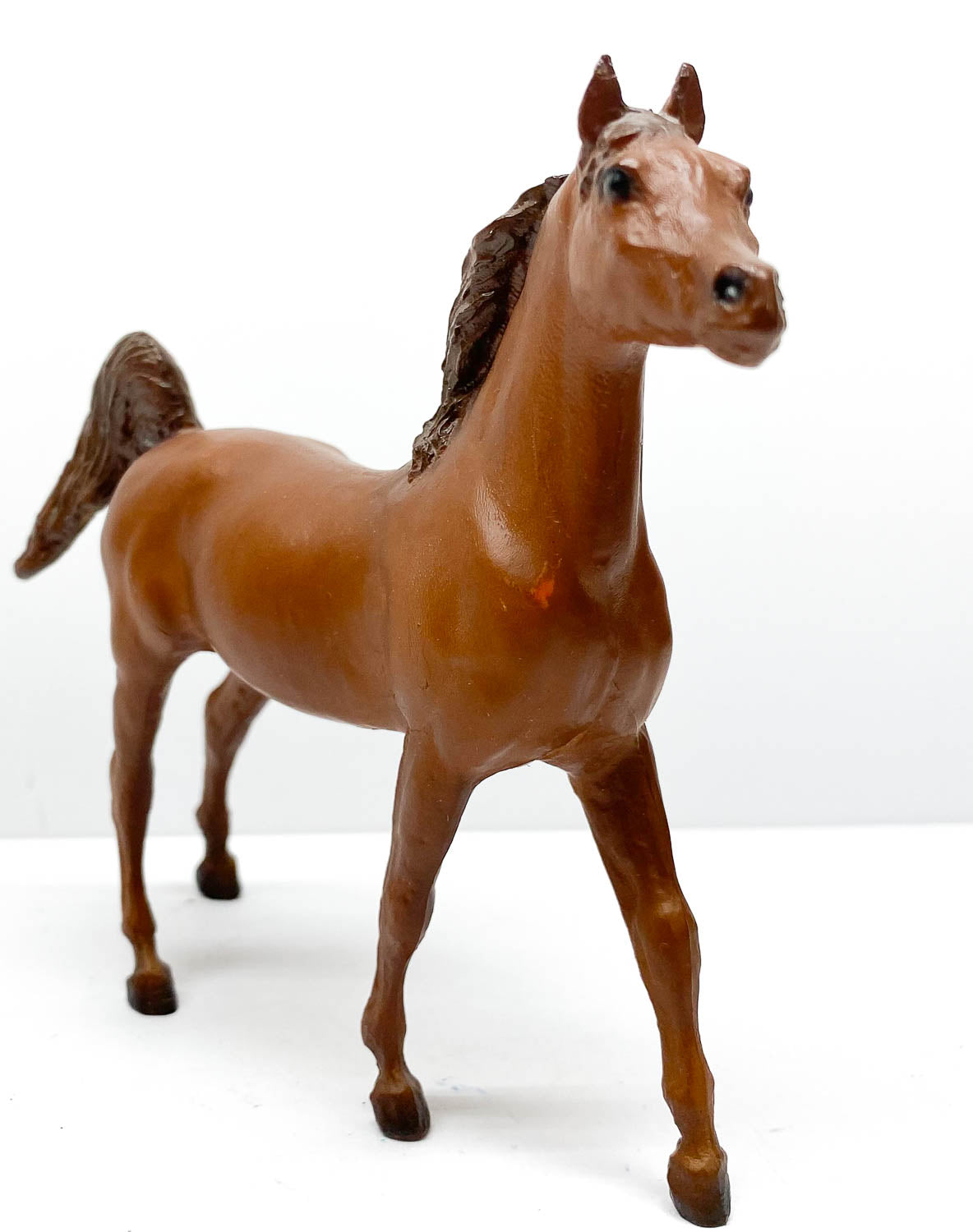 Arabian Stallion, Chestnut