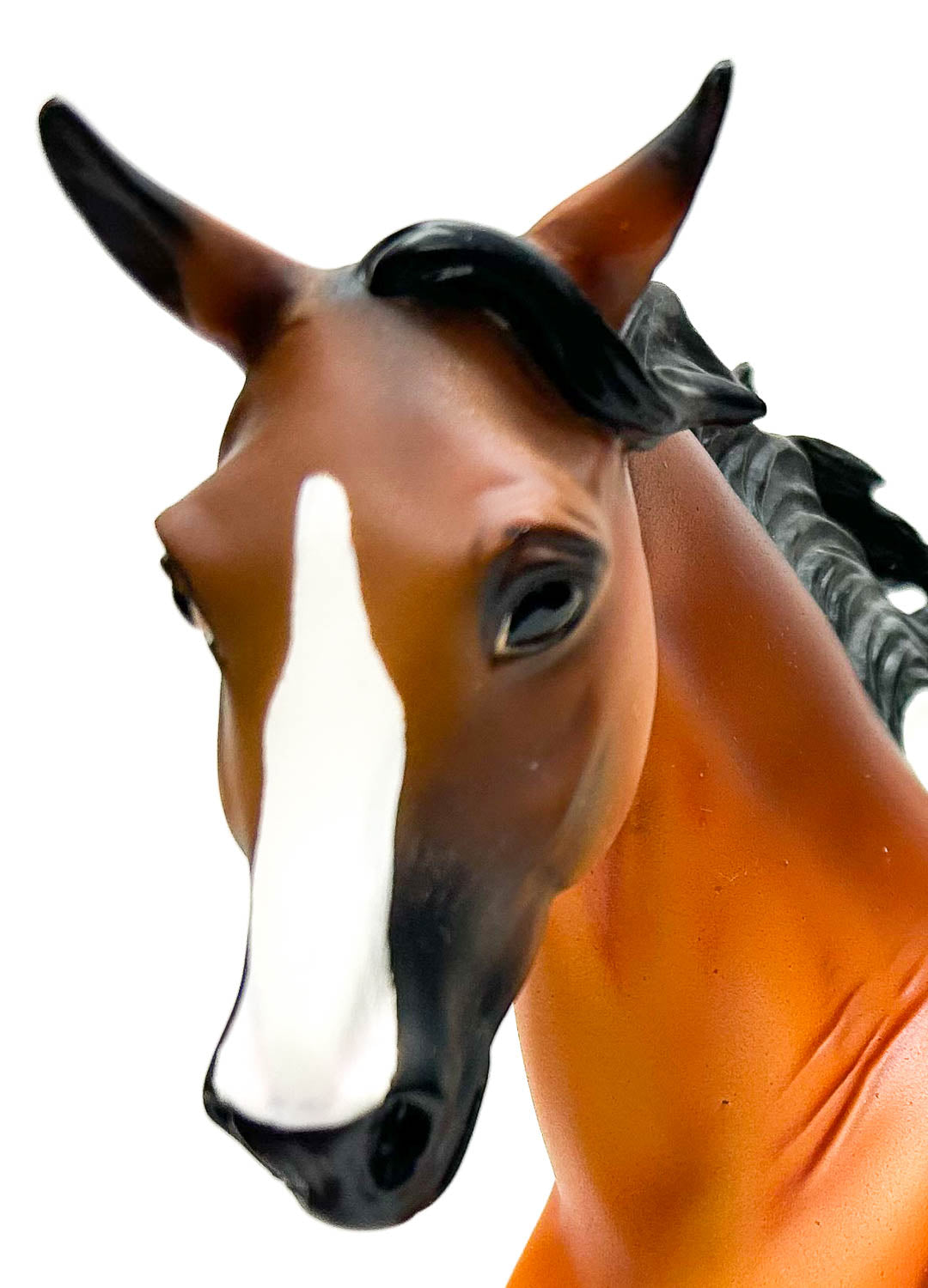 Magnolia - Resin - JCP SR