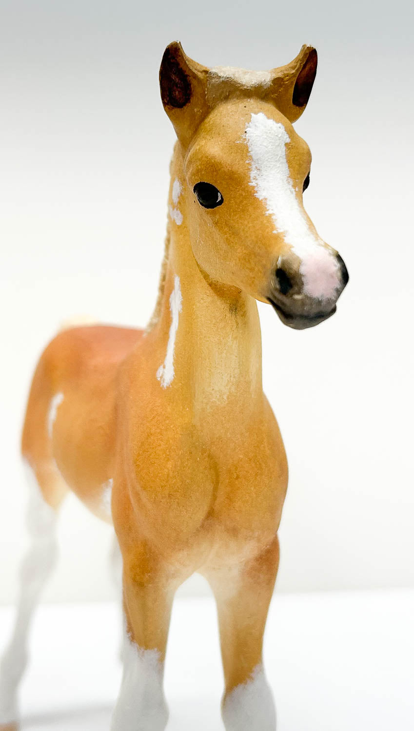 Proud Arabian Foal ~ Harlequin Satin, Custom Palomino Pinto