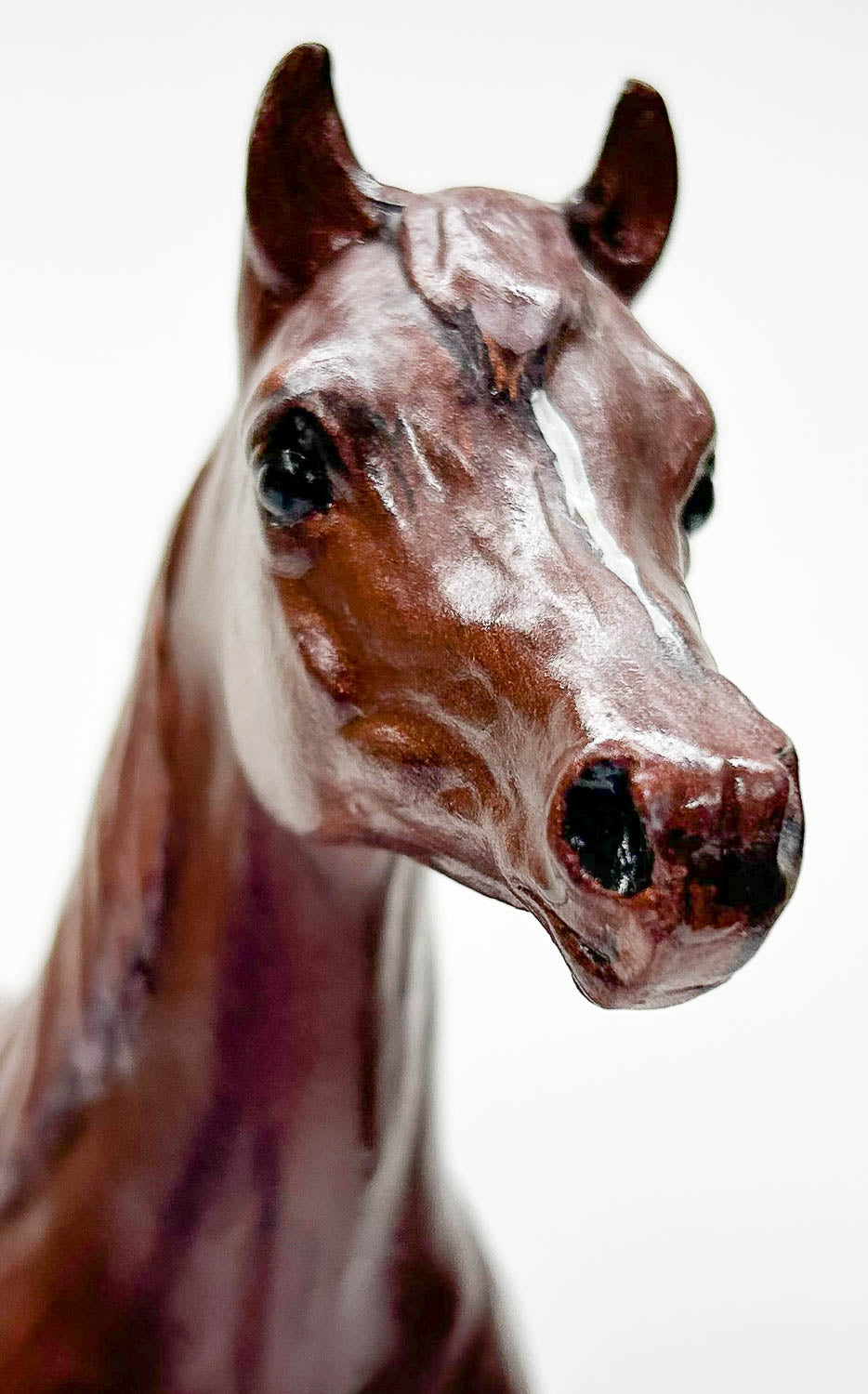 Proud Arabian Mare, Copper Chestnut - Body Previously Customized