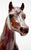 Proud Arabian Mare, Copper Chestnut - Body Previously Customized