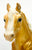 Running Mare, Gold - Body Previously Customized