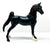 American Saddlebred, Black ~ New Arrival At The Barn