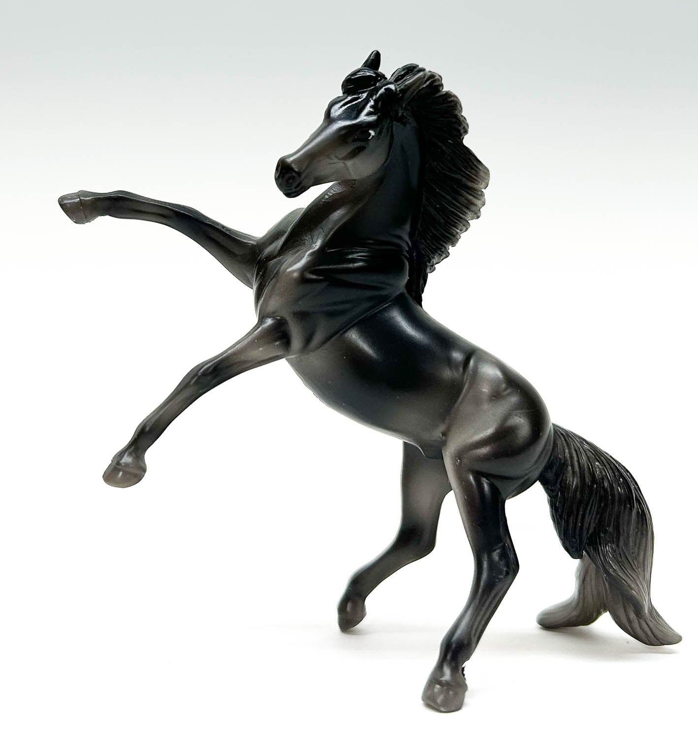 Rearing Andalusian, Dark Grey - JC Penney SR