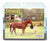 Thoroughbreds ~ Stablemates Race Set - Dreamer:  Sonador and Goliath's Boy