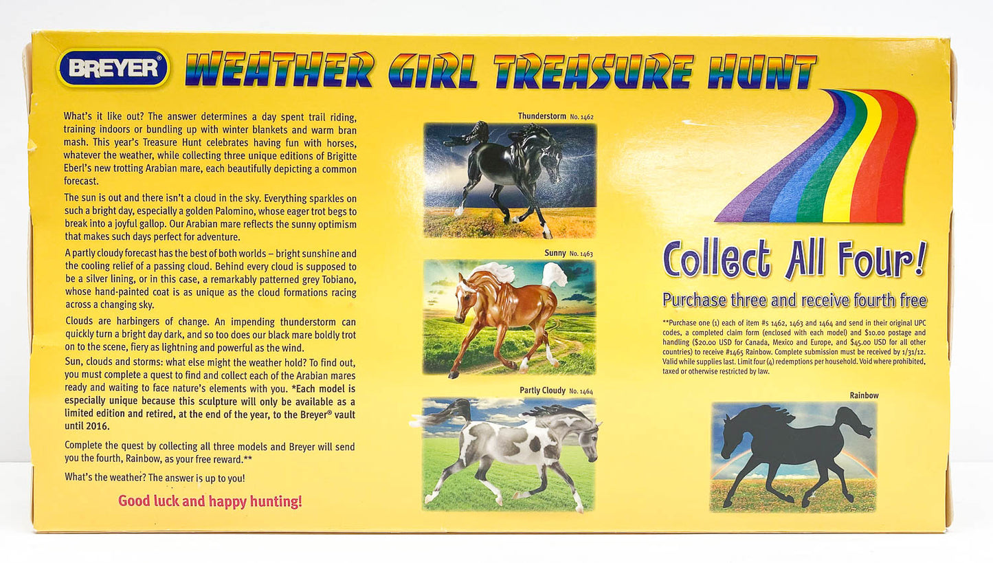 Trotting Arabian ~ Rainbow, GLOSSY Pintaloosa  - Treasure Hunt Prize