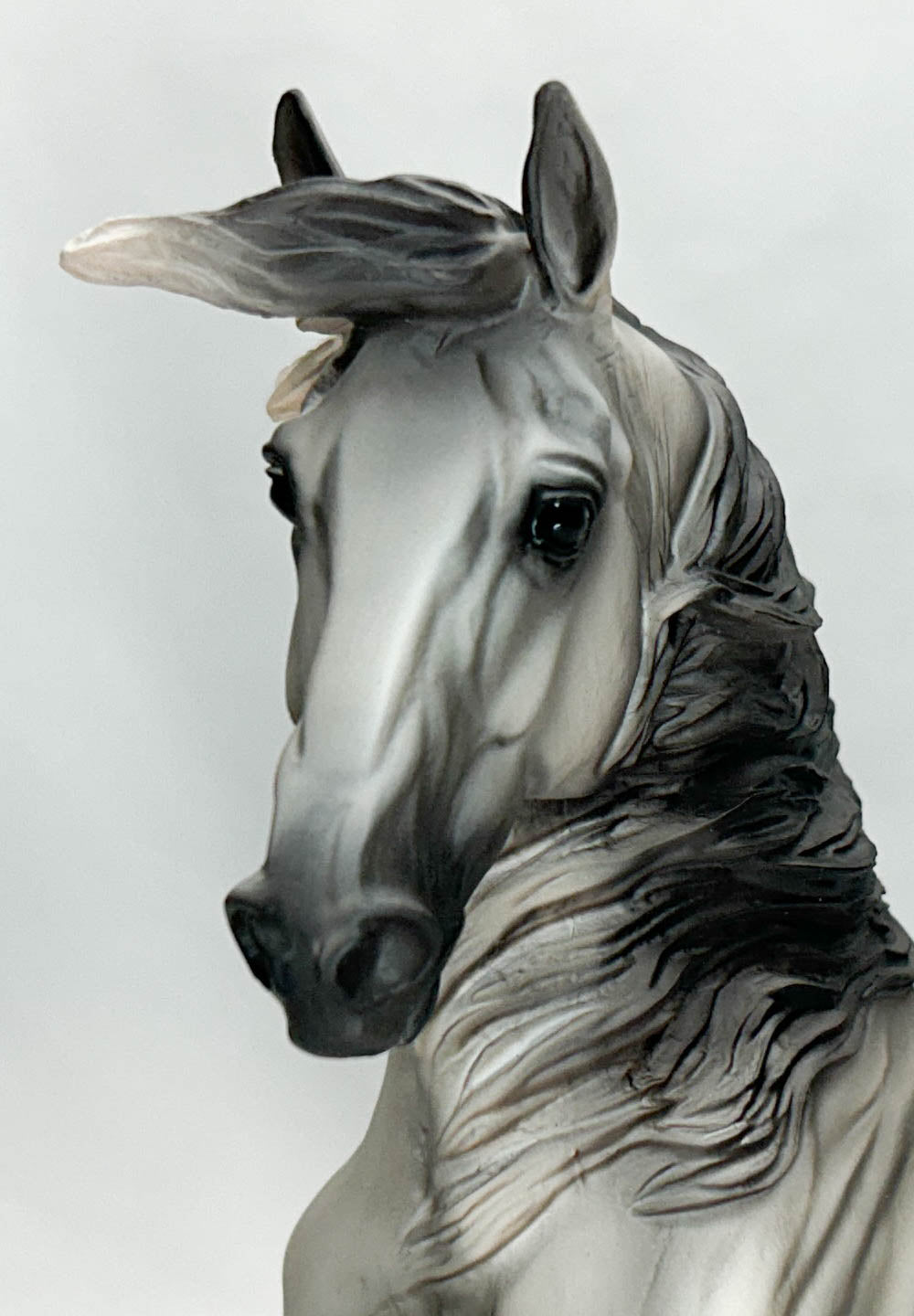 Alborozo - Breyerfest 2008 Celebration Model w/ Bonus Pony Pouch