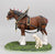 Anheuser-Busch "Full Parade Dress" Clydesdale and Dalmatian
