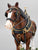Anheuser-Busch "Full Parade Dress" Clydesdale and Dalmatian