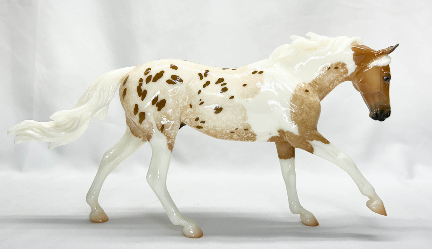 CHRISTMAS AUCTION: Australian Stock Horse ~ Seven Arts Surprise GLOSSY Pintaloosa - 325 Made