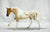 CHRISTMAS AUCTION: Australian Stock Horse ~ Seven Arts Surprise GLOSSY Pintaloosa - 325 Made