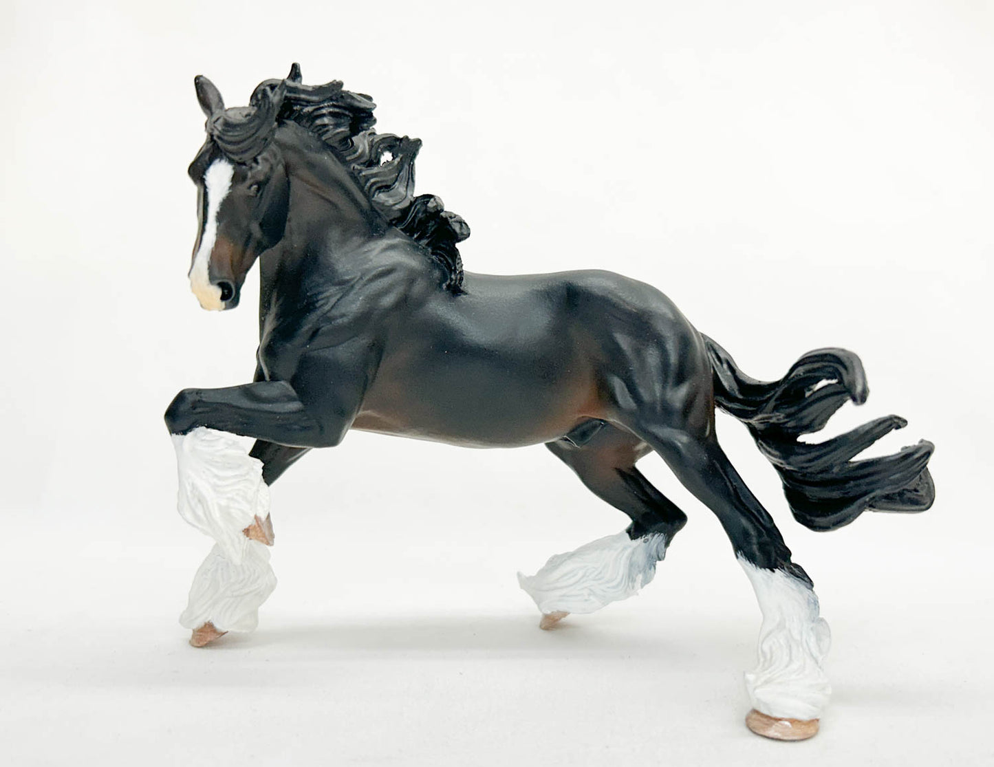 Benicio - Artist Resin Shire by Sue Kern Thompson, Seal Bay