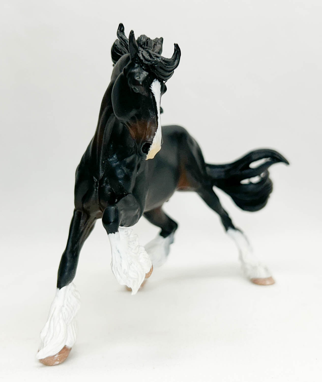 Benicio - Artist Resin Shire by Sue Kern Thompson, Seal Bay