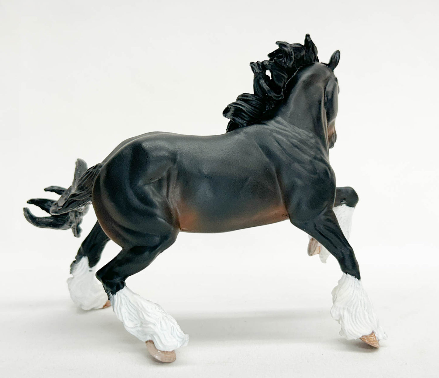 Benicio - Artist Resin Shire by Sue Kern Thompson, Seal Bay