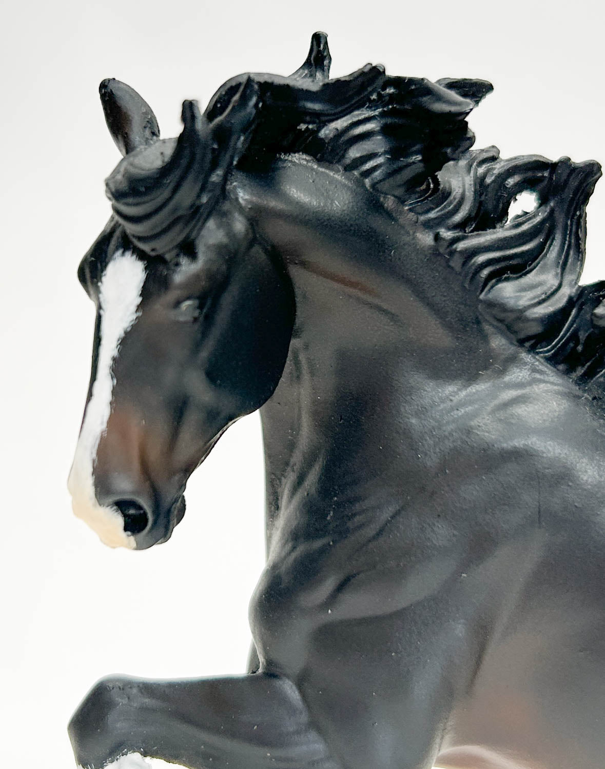 Benicio - Artist Resin Shire by Sue Kern Thompson, Seal Bay