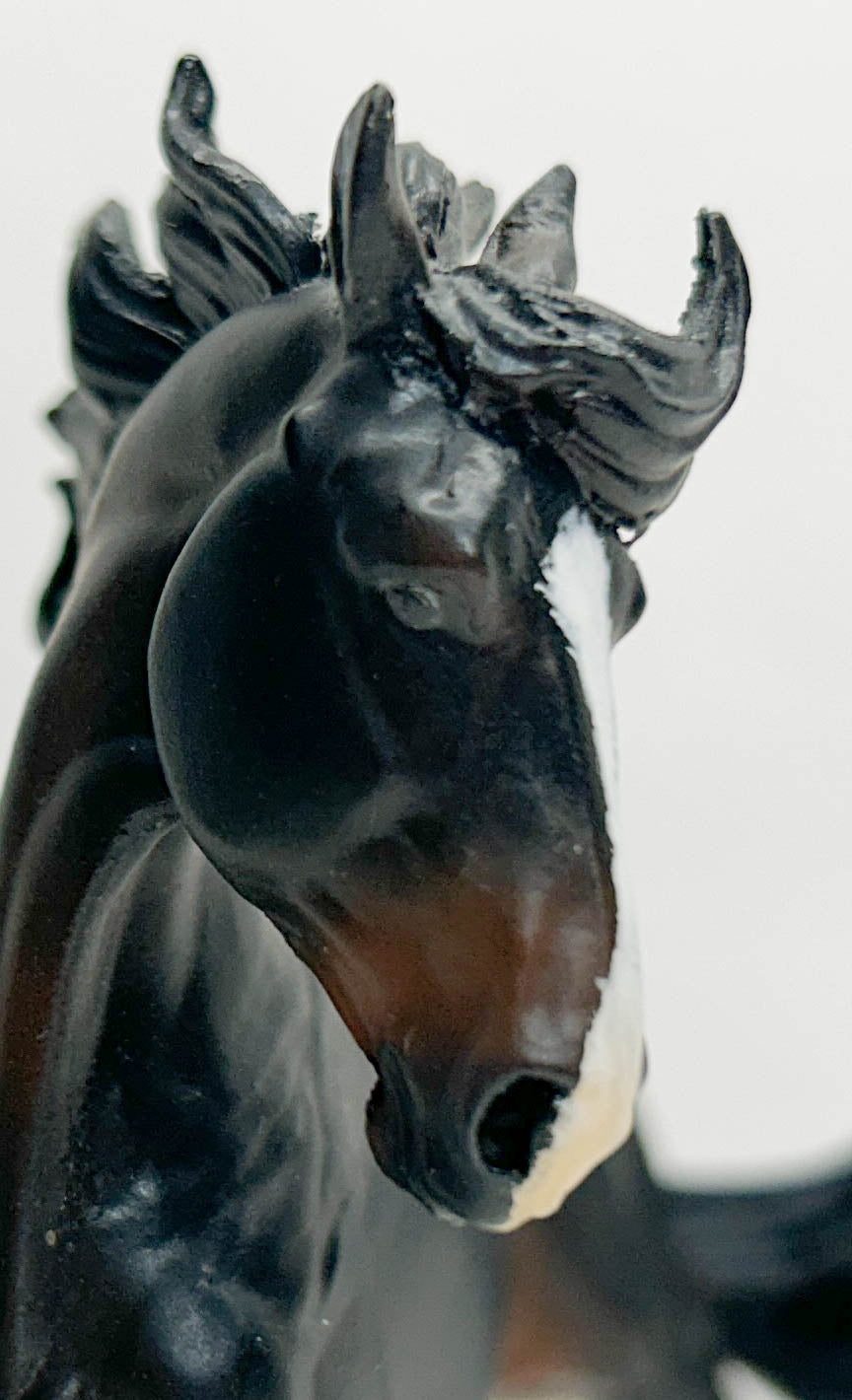 Benicio - Artist Resin Shire by Sue Kern Thompson, Seal Bay