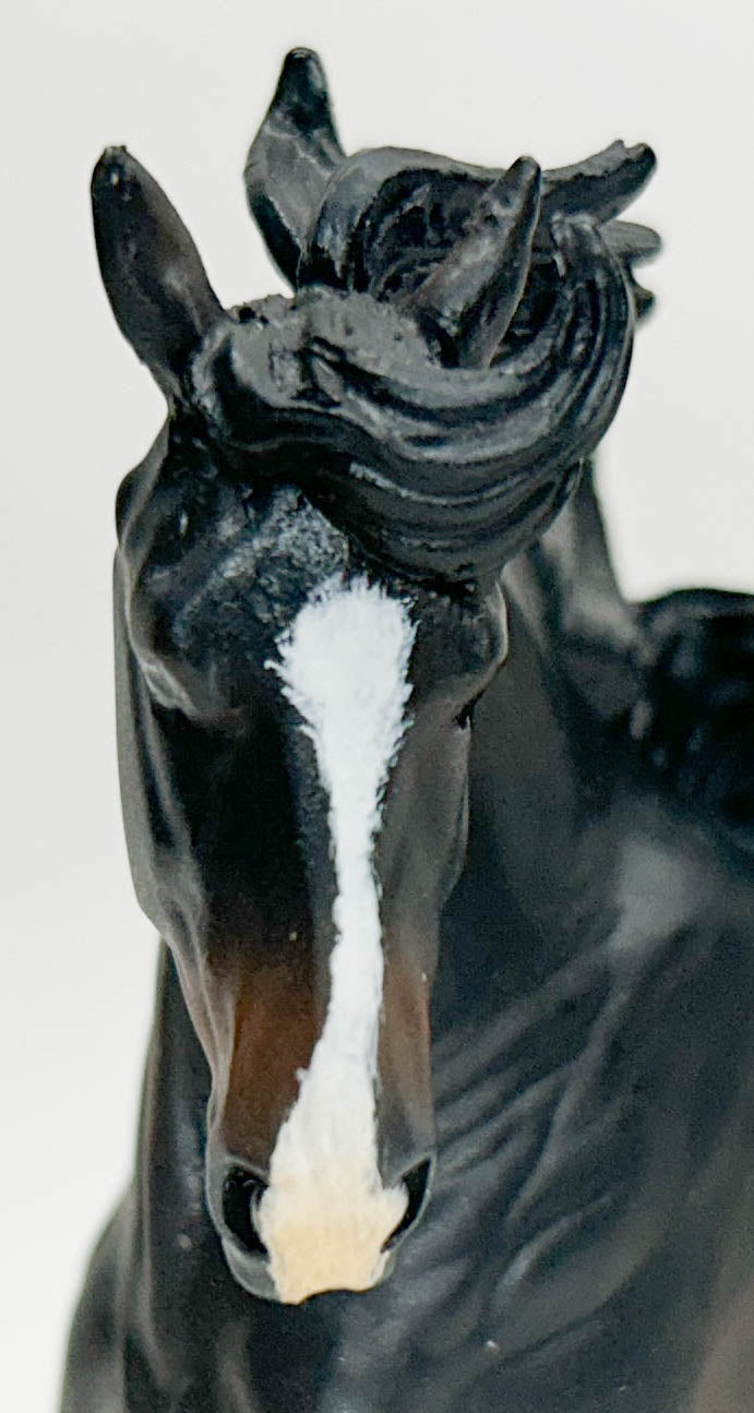 Benicio - Artist Resin Shire by Sue Kern Thompson, Seal Bay