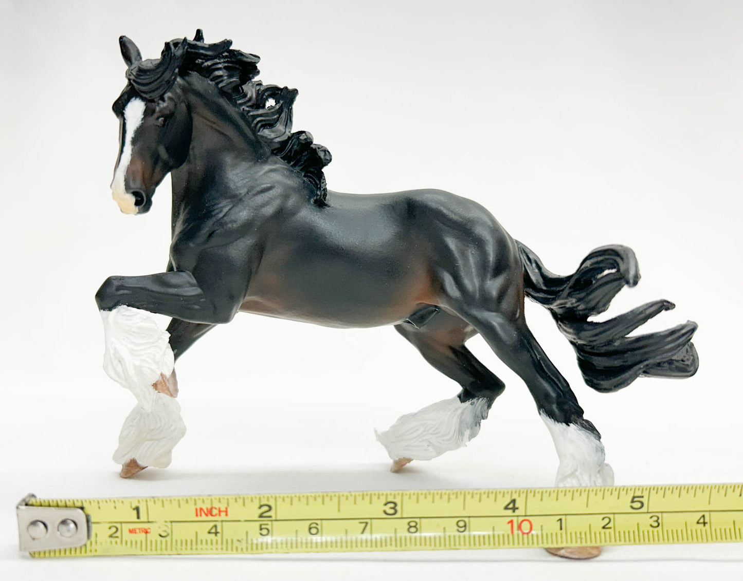 Benicio - Artist Resin Shire by Sue Kern Thompson, Seal Bay