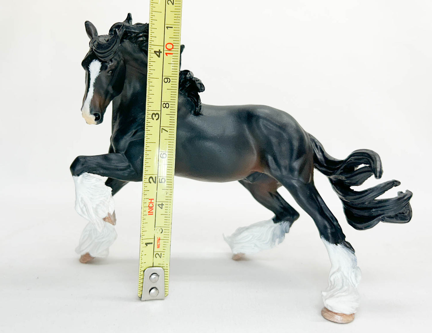 Benicio - Artist Resin Shire by Sue Kern Thompson, Seal Bay