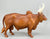 Brahma Bull, Woodgrain