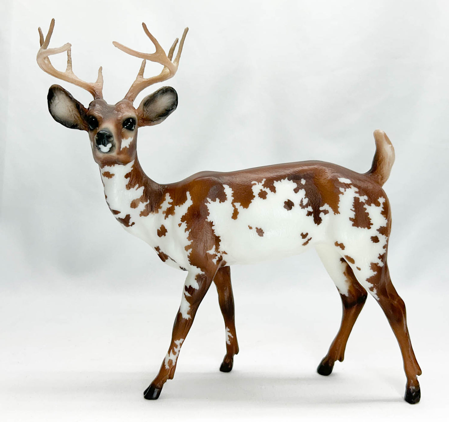 Buck Deer ~ Garret - Web Special