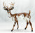Buck Deer ~ Garret - Web Special