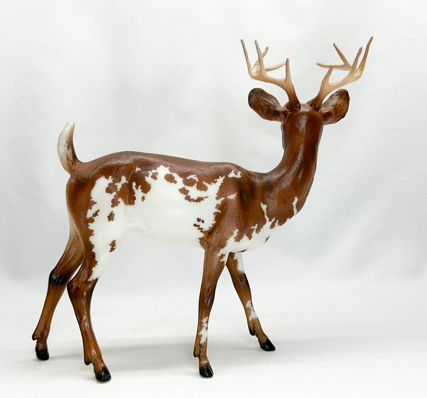 Buck Deer ~ Garret - Web Special