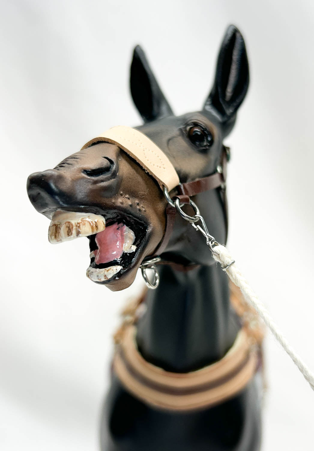 CHRISTMAS AUCTION: Traditional Carrot Top Artist Resin Mule with tack, Show Diorama Props, and Case!