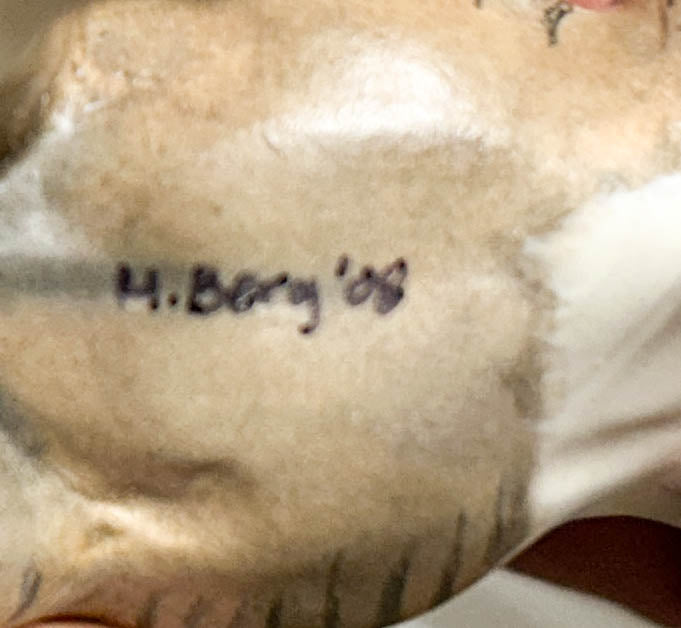 "Cat Food" Resin Zebra ~ W-A-V Button - Custom Zony painted by Mindy Berg