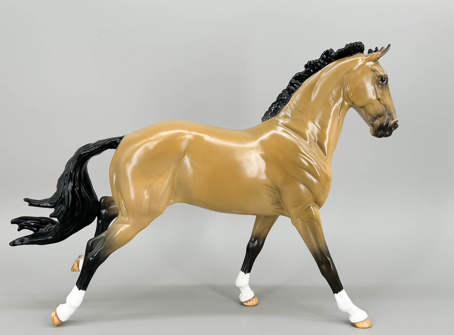 Irish Sport Horse ~ Glossy Jasper