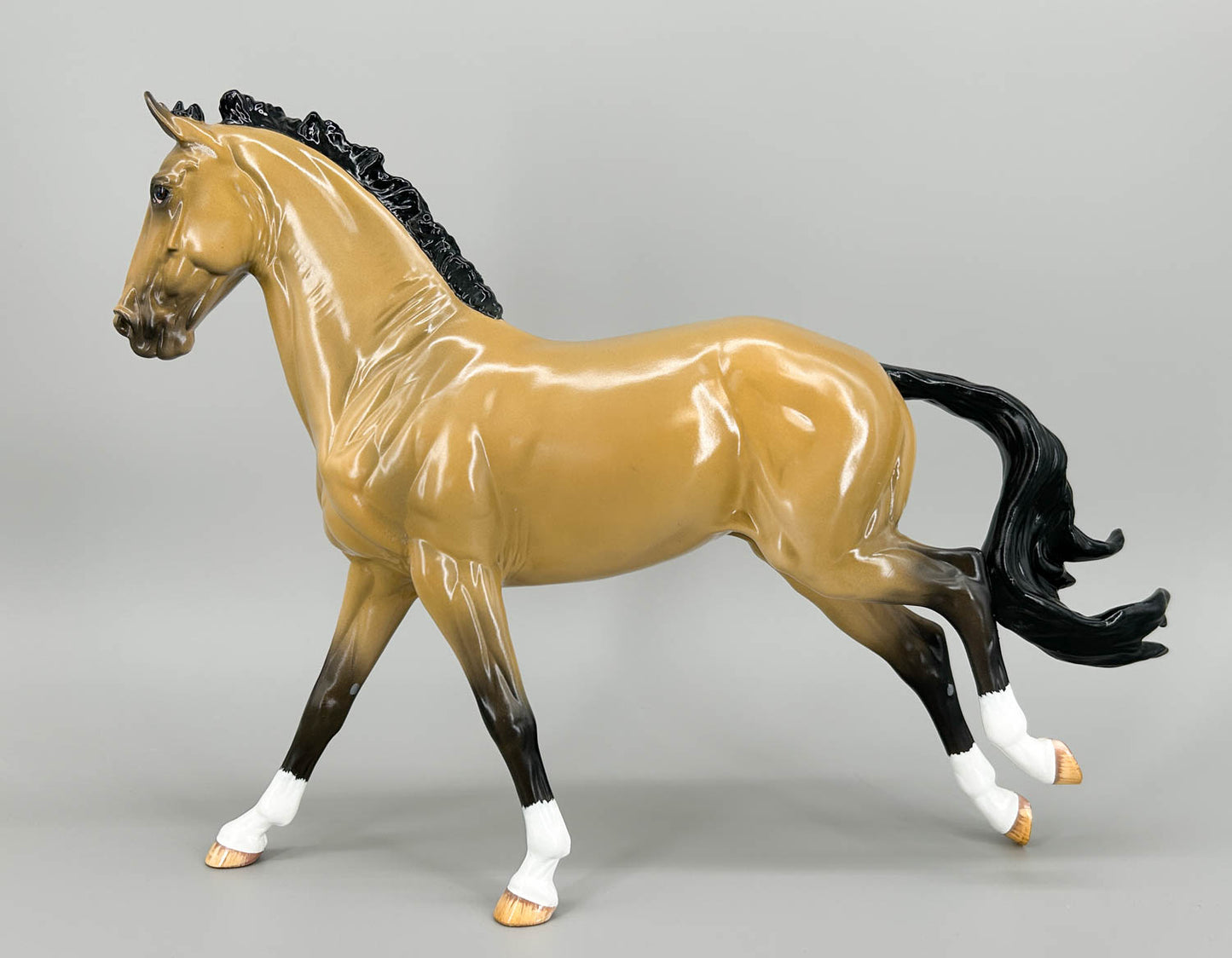 Irish Sport Horse ~ Glossy Jasper