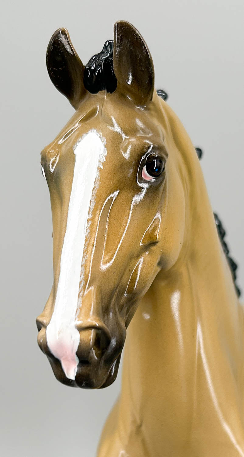 Irish Sport Horse ~ Glossy Jasper