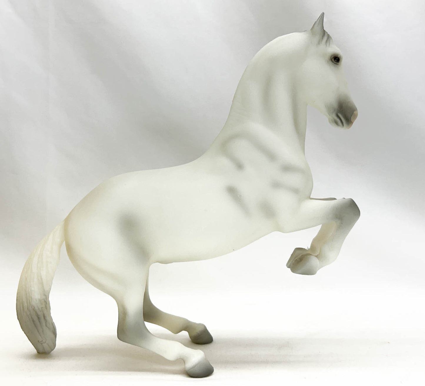 Lipizzan Stallion ~ 25th Anniversary Edition Lipizzaner Tour SR